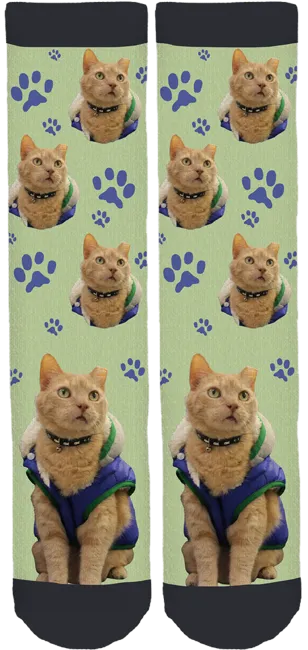 Bucks County SPCA Morty Socks