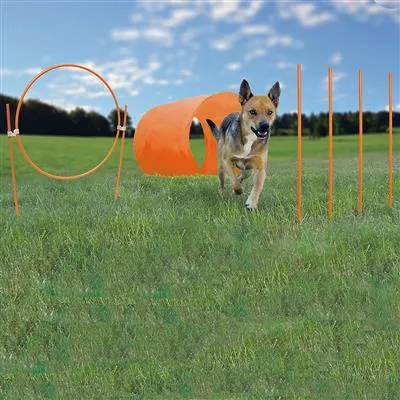 Zip & Zoom Outdoor Agility Kit